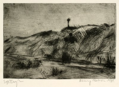 Paisagem de dunas com marca do mar de Henry Nielsen