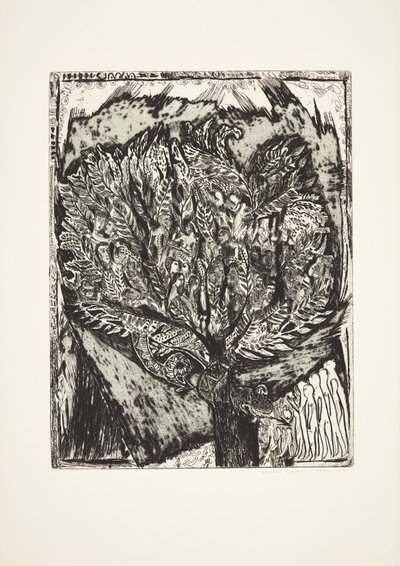 O laço. Paisagem de dunas com sinal de Henry Nielsen