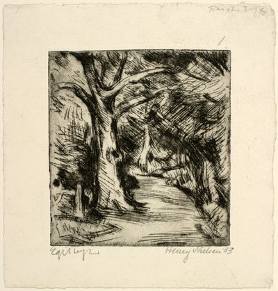 Estrada da floresta. floresta de Rii de Henry Nielsen