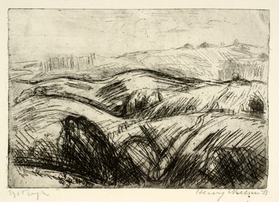 Paisagem fortemente montanhosa de Henry Nielsen