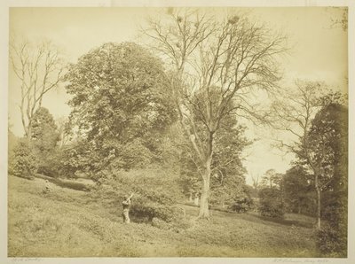 Tiro de Torre de Henry Peach Robinson