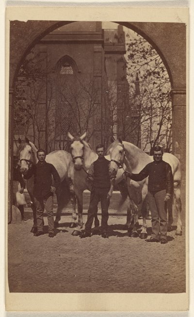 [Três homens posando com três cavalos brancos] de Henry Pointer
