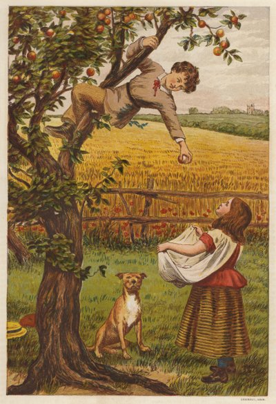 Colhendo maçãs (lito colorido) de Henry Robert Robertson