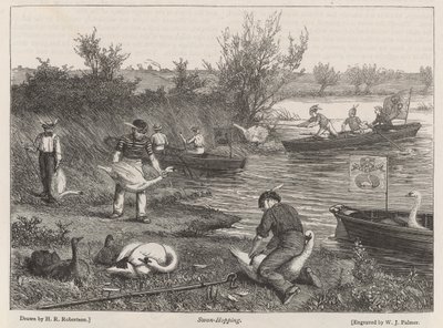 Swan-Hopping de Henry Robert Robertson