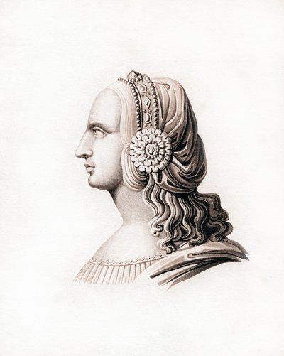 Cocar, início do século XVI, 1843. de Henry Shaw