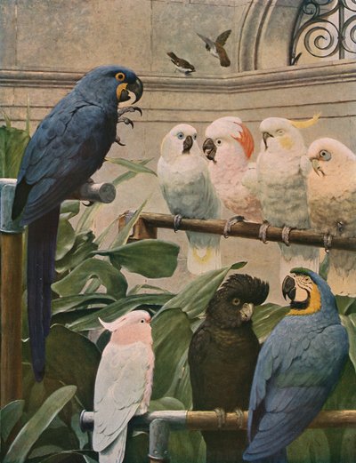 A Select Committee, 1891, c1930. de Henry Stacey Marks