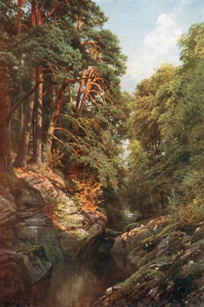 A Wooded Gorge, Killin, Perthshire (litografia a cores) de Henry Sutton Palmer