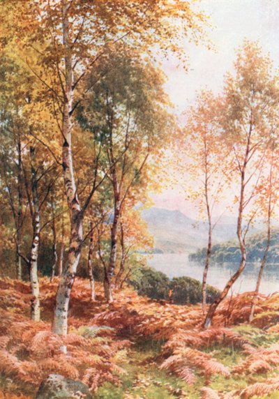 Bétulas junto a Loch Achray, Perthshire (litografia a cores) de Henry Sutton Palmer