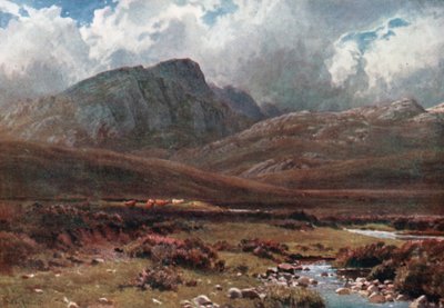 Crags near Poolewe, Ross-Shire (litografia a cores) de Henry Sutton Palmer