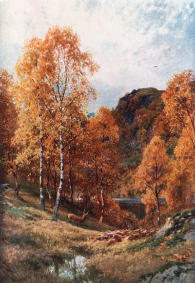 outono dourado, Trossachs, Perthshire (litografia a cores) de Henry Sutton Palmer