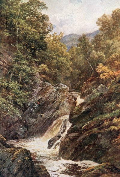 Em Glenfinlas, Perthshire (litografia a cores) de Henry Sutton Palmer