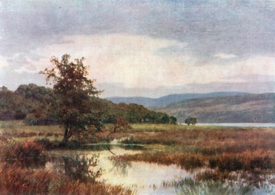 Loch Venachar, Perthshire (litografia a cores) de Henry Sutton Palmer