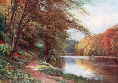 No rio Ayr, Ayrshire (litografia a cores) de Henry Sutton Palmer