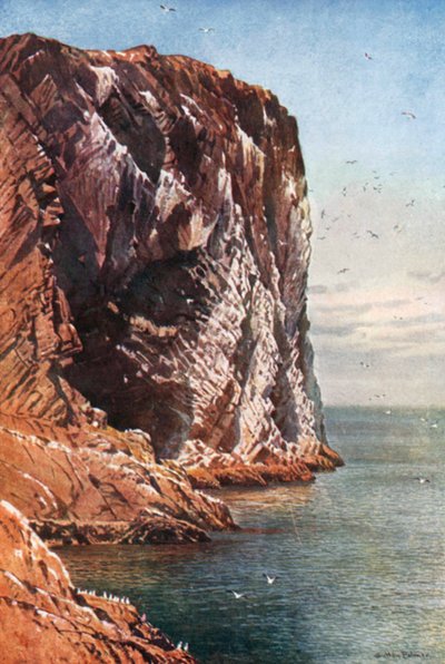 The Bass Rock, Firth of Forth, ao largo da costa de Haddingtonshire (litografia a cores) de Henry Sutton Palmer