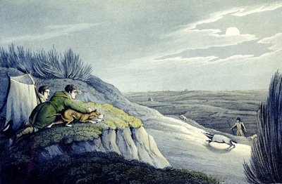 Badger Catching from the National Sports of Great Britain, gravada por J.H. Clarke de Henry Thomas (after) Alken