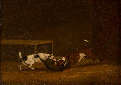 Two Terriers Badger Baiting, c.1805-51 (óleo sobre painel) de Henry Thomas (follower of) Alken