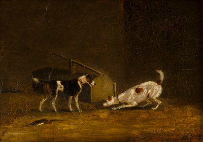Dois Terriers Ratting, c.1805-51 (óleo no painel) de Henry Thomas (follower of) Alken