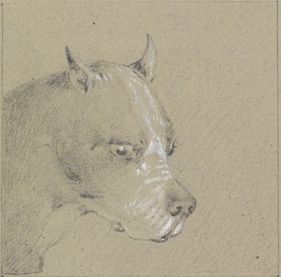Cabeça e ombros de um cão boxer (grafite aumentado com branco sobre papel) de Henry Thomas Alken