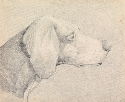 Cabeça de um foxhound, de perfil à direita de Henry Thomas Alken
