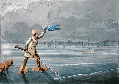 Ave de Boi ou Tiro ao Furacão: A Signal of Distress, publicado por Thomas Mclean de Henry Thomas Alken