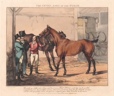 Conjunto de sete: As sete idades do cavalo de Henry Thomas Alken