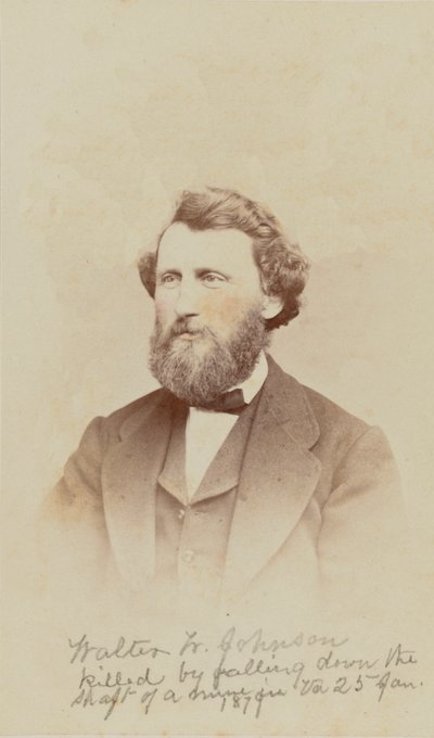 Carte-de-visit retrato de Walter W. Johnson, 1868. de Henry Ulke