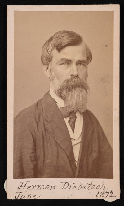 Retrato de Herman Henry Diebitsch 1818-1883, 1871. de Henry Ulke