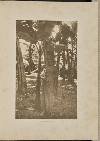 Companheiros de Henry W. Cave