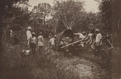 Cidades arruinadas do Ceilão: A caminho do Polonnaruwa (foto a p/b) de Henry W. Cave