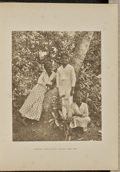 Três empregadas domésticas de Moratowa somos nós de Henry W. Cave