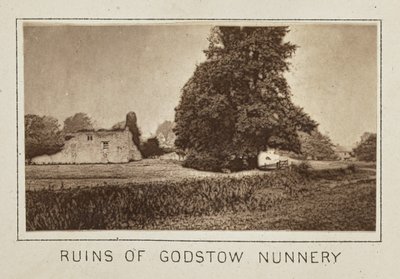Ruínas do convento de Godstow de Henry W. Taunt