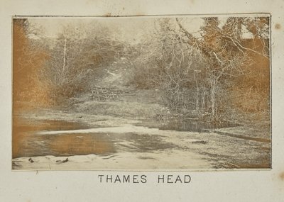 Cabeça do Tamisa de Henry W. Taunt