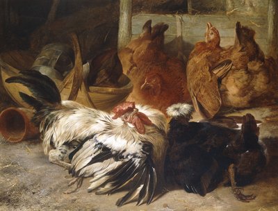 Um galo Rosecomb cinza-prateado e uma Polônia negra com crista branca com duas galinhas amarelas, de Henry Weekes