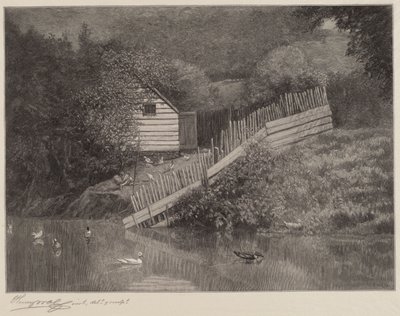Um lago de patos de Henry Wolf