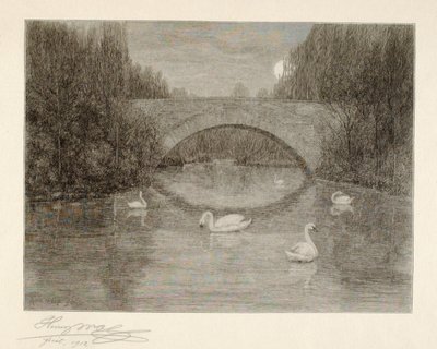 Noite, Lago dos Cisnes, Central Park, Nova Iorque de Henry Wolf