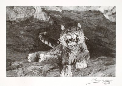 Tigre de Henry Wolf