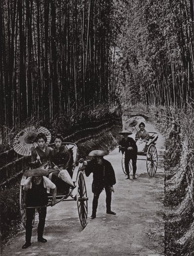 Uma Avenida Bamboo em Kyoto (foto a p/b) de Herbert Ponting