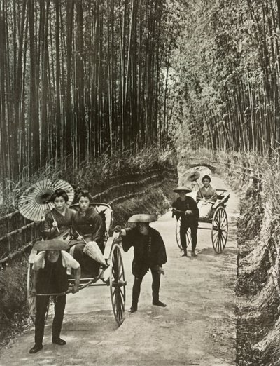 Uma Avenida de Bambu em Kyoto, 1910. de Herbert Ponting