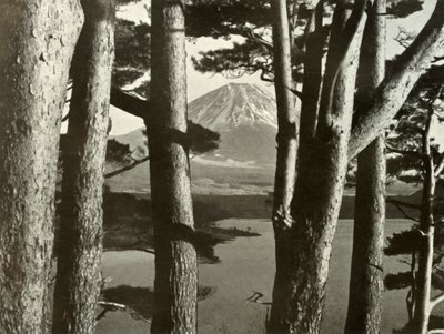 Fuji e os pinheiros, 1910. de Herbert Ponting