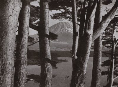 Fuji através dos Pinheiros (foto a p/b) de Herbert Ponting