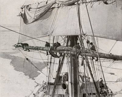 Vela enrolada no pacote, c19101913, 1913 de Herbert Ponting