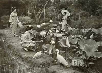 Em Lotus-Land, 1910. de Herbert Ponting
