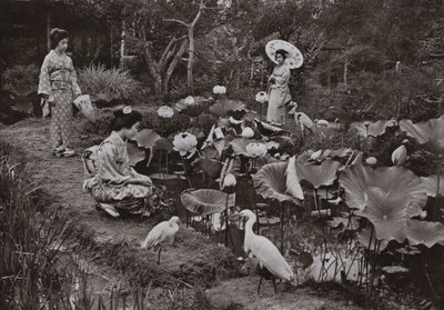 Em um Jardim de Lótus (foto a p/b) de Herbert Ponting