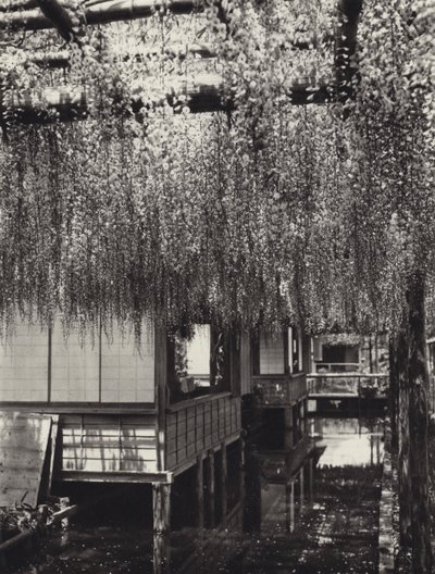 Japão na década de 1920: Tóquio, Kameido (foto a p/b) de Herbert Ponting