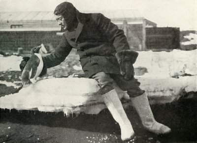 Lieut. Rennick e um pinguim amigável, 1911, 1913 de Herbert Ponting