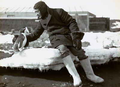 Homem com um pinguim durante a expedição inglesa ao Antártico de Herbert Ponting