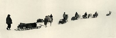 Pôneis em março de 1911, 1913 de Herbert Ponting
