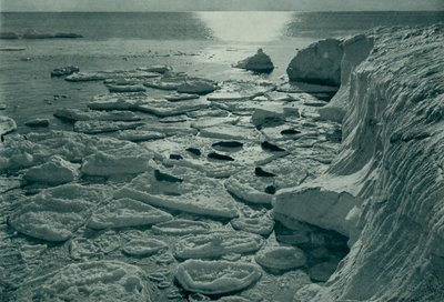 Selos se aquecendo no gelo de panqueca recém-formado em Cape Evans, c19101913, 1913 de Herbert Ponting