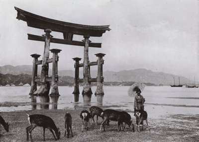 A velha Torii em Miyajima (foto a p/b) de Herbert Ponting