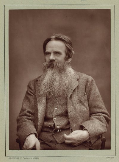 Retrato do pintor William Holman Hunt 1827-1910, ca. 1885. de Herbert Rose Barraud